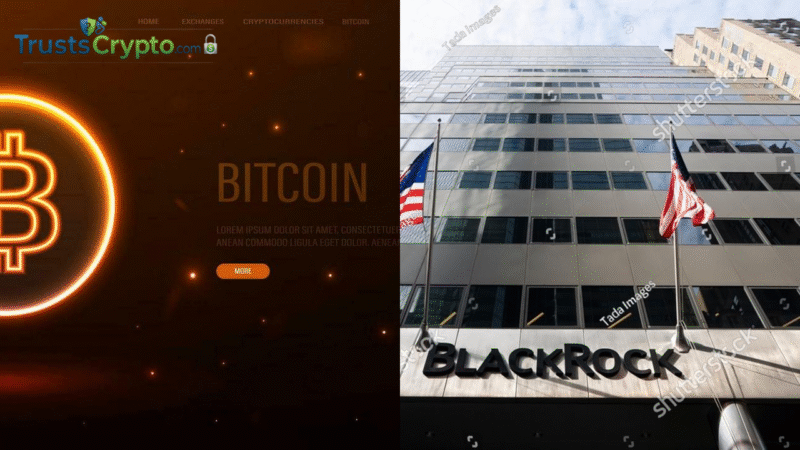 BlackRock Bitcoin ETF holders back in profit as BTC tops $90K