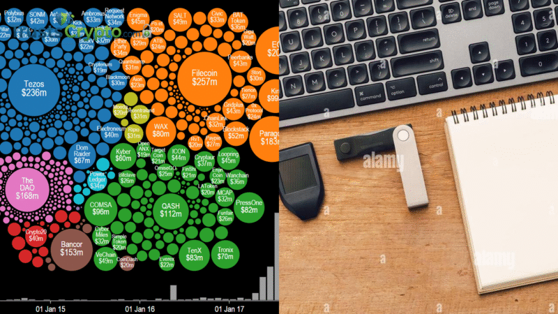 Bubblemaps: 30% EDEL ‘sniped’; Edel Finance disputes claim