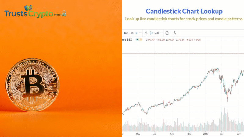 DeFi Weekly: Bitcoin tops $94K, ‘Netscape’ moment, key shifts