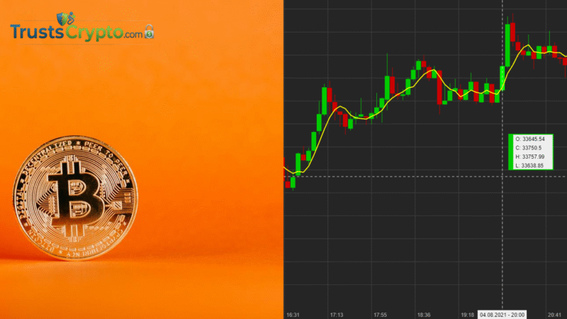 Bitwise CIO: Bitcoin to See Strong, Steady Returns This Decade