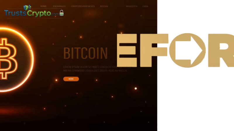 Reform UK gets record £9M donation from Christopher Harborne