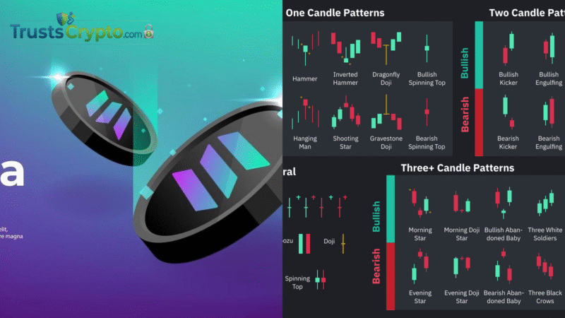 Bubblemaps: Solana Ava AI token launch sniped; 40% tied to deployer