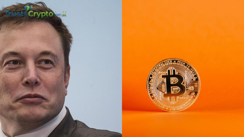 Bitcoiners weigh Musk’s double-digit growth call, 2026 risks