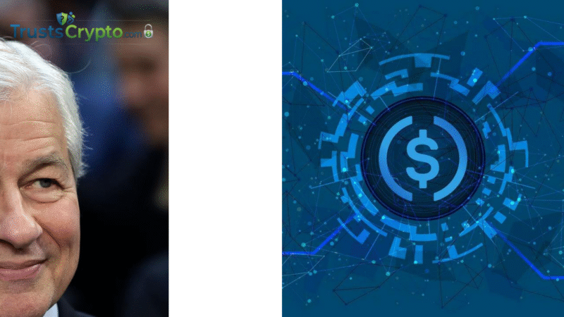 JPMorgan Freezes Accounts of Two Stablecoin Startups Amid Risks