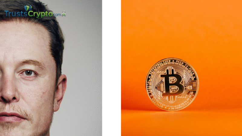 Mow: Musk to go hard into Bitcoin in 2026, $1.33M prediction