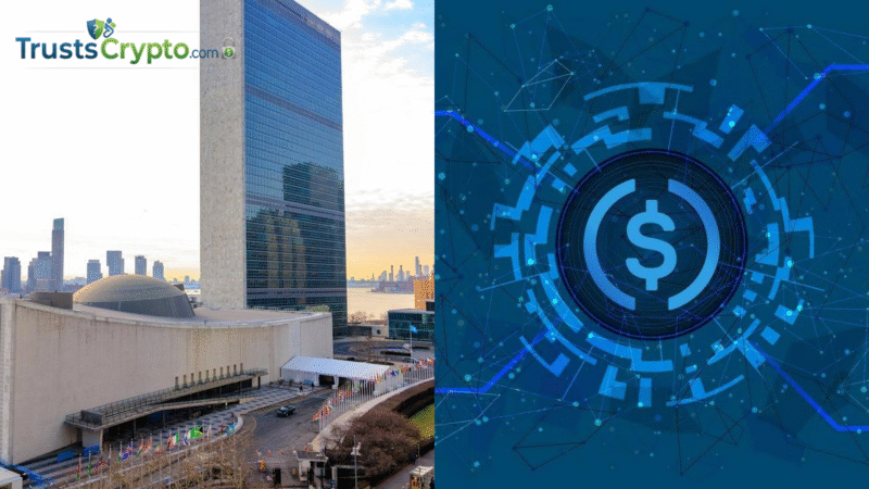 Circle grant supports UN digital payments for humanitarian aid