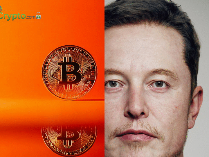 Crypto today: X in-app trading nears; ARK’s $15M Coinbase buy