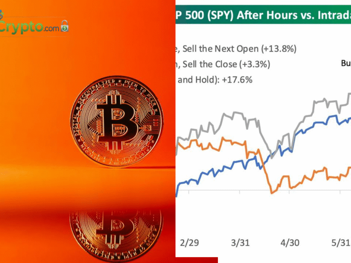River: Bitcoin Adoption Booms in 2025 Despite Price Drop
