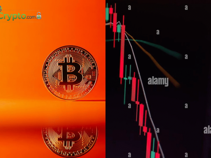 Parsec Shuts Down Citing Industry Shift Away from DeFi, NFTs