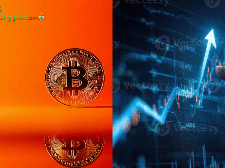 Lyn Alden: AI Stock Peak Could Drive Bitcoin’s Next Leg Up