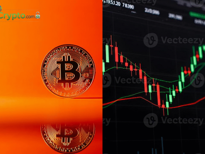 Nakamoto to Acquire BTC Inc and UTXO in $107M All-Stock Deal