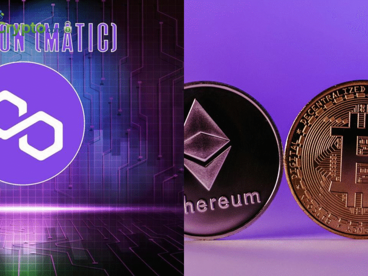 Polygon Tops Ethereum in Daily Fees as Polymarket Surges