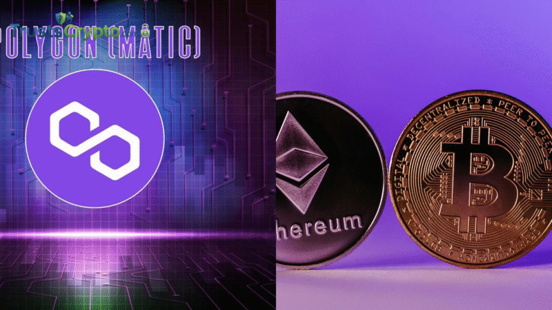 Polygon Tops Ethereum in Daily Fees as Polymarket Surges