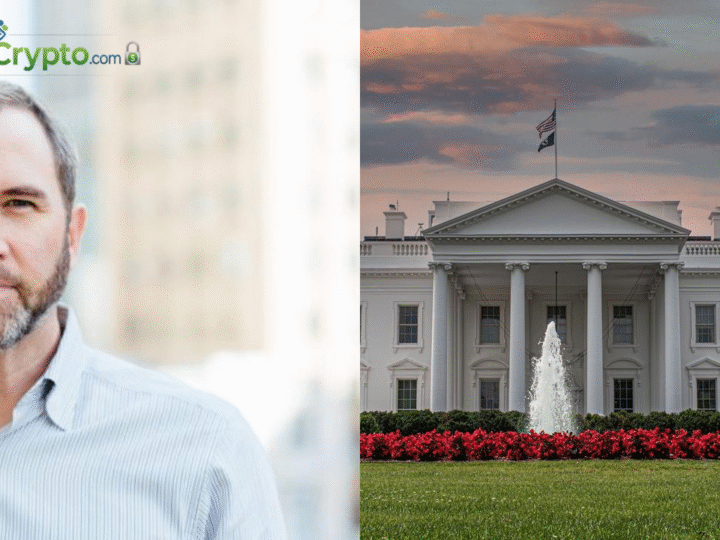Ripple CEO Confirms White House Meeting on Market Structure Bill