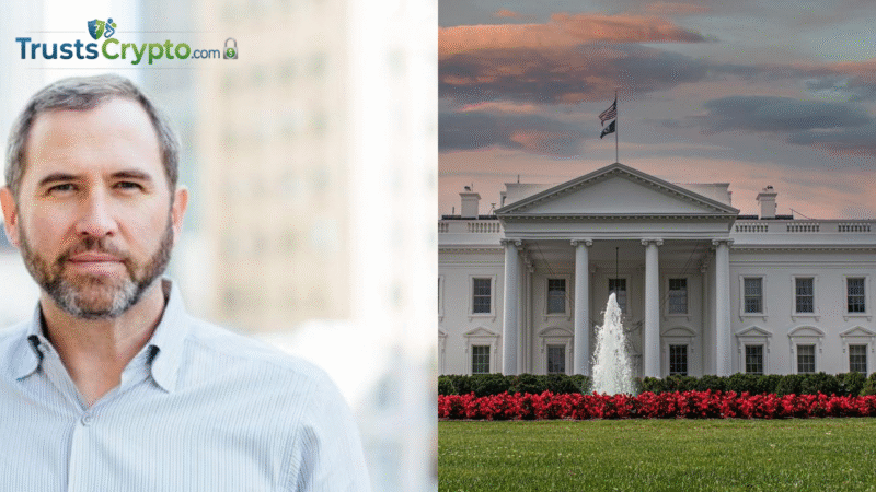 Ripple CEO Confirms White House Meeting on Market Structure Bill