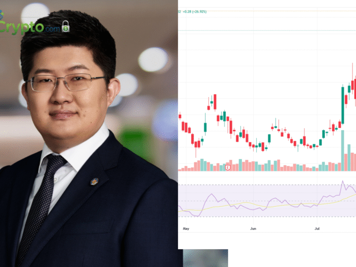 Canaan Stock Falls Despite Strongest Quarter in 3 Years