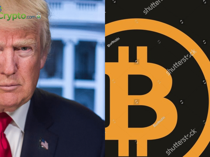 Trump Raises Tariffs to 15%; Bitcoin ETFs Log 5 Weeks Outflows