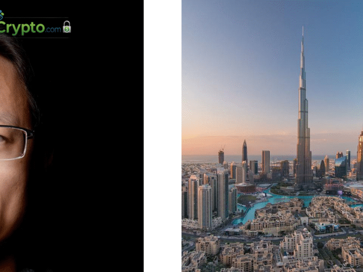 Animoca Brands Secures Dubai VARA VASP License for Institutions