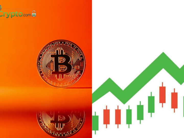 Crypto ETPs Rebound With $1B Inflows After 5-Week Slump