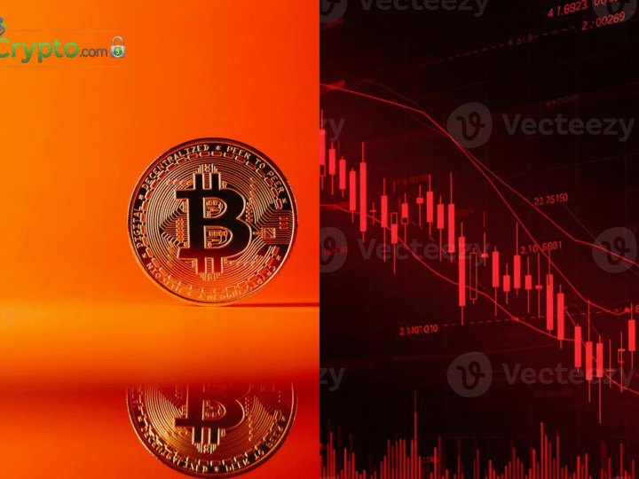 Bitcoin slide slowing, but bear market still in play: Analysts