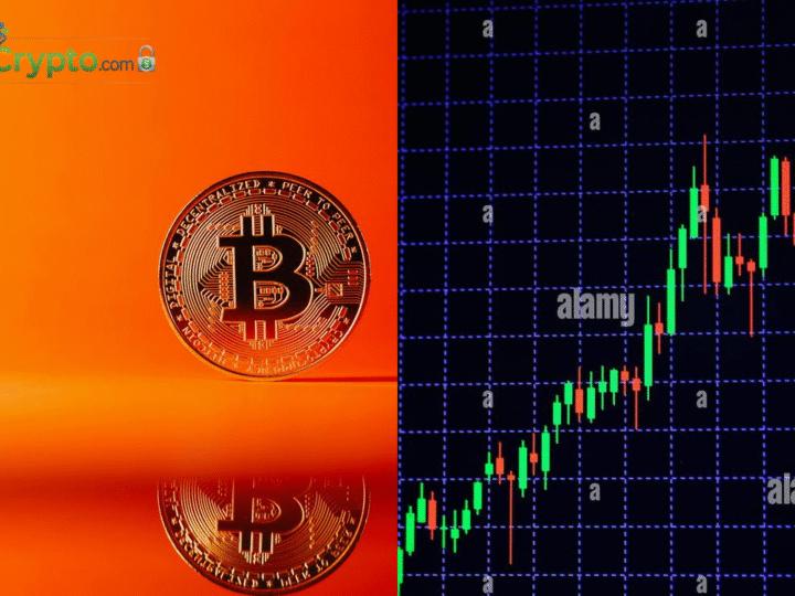 US Bitcoin ETFs See $462M Inflows as BTC Briefly Tops $73K
