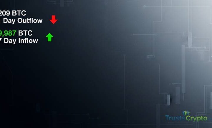 Bitcoin ETFs Record 209 BTC 1-Day Outflow, 9,987 BTC 7-Day Inflow