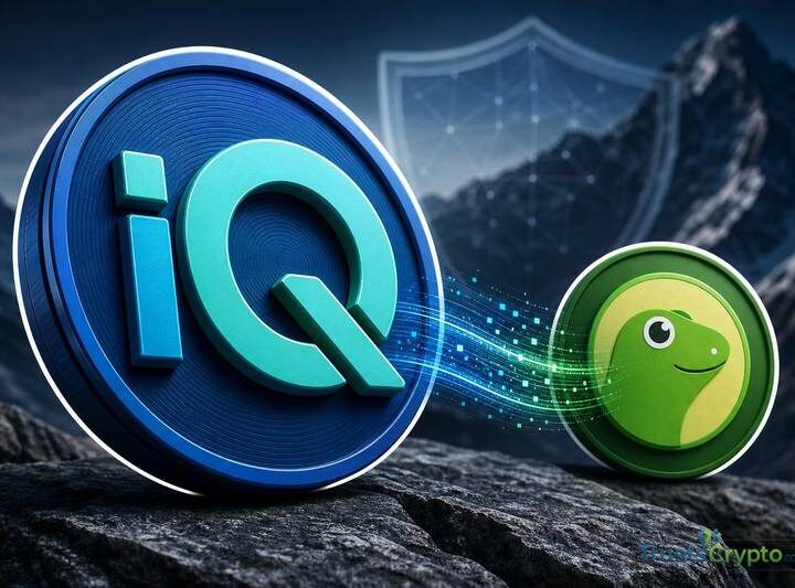 IQ Launches Content Partnership With CoinGecko to Expand Crypto Research in South Korea